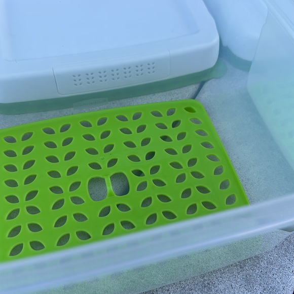 Set 2 Rubbermaid Fresh Works Produce Savers Vegetables Storage Bins Refrigerator - Picture 10 of 15